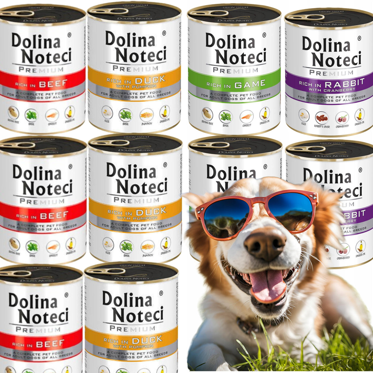 Dolina Noteci Premium mokra karma dla psa 10x800 g – mix smaków bez ryb, dla dorosłych psów