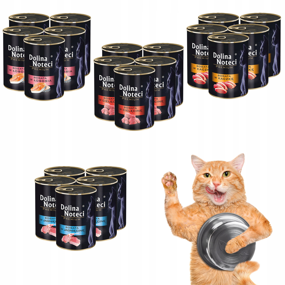 Dolina Noteci Premium karma mokra dla kota bezzbożowa 20 x 400 g – mix smaków