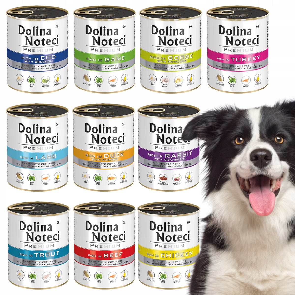 Dolina Noteci Premium karma mokra dla psa 10 x 800 g bez zbóż – mix smaków