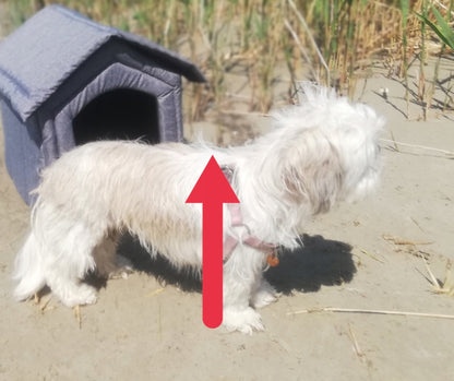 Buda dla psa do domu, legowisko domek XXL 60 x 57 x 64 cm z poduszką – biało-czarna