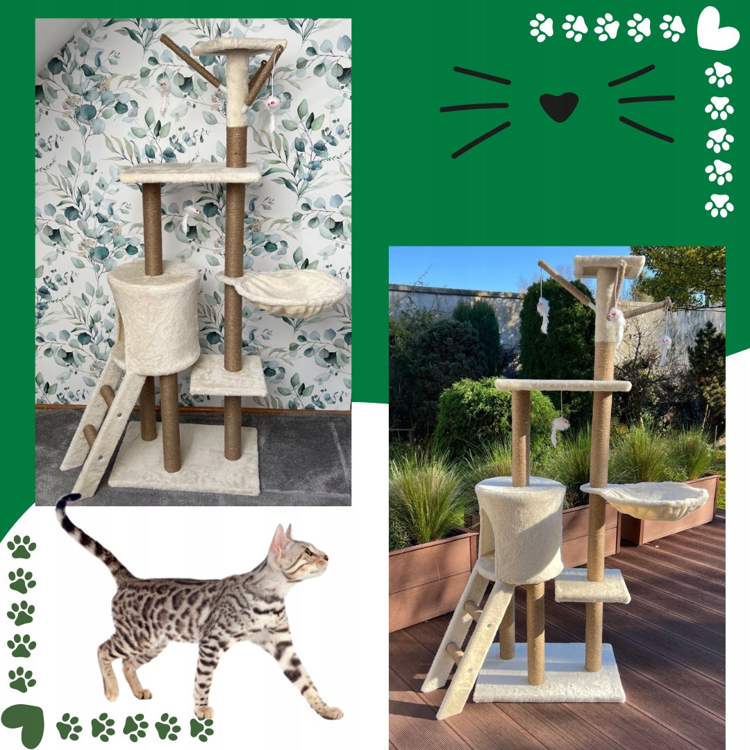 Miximi Drapak dla kota wysoki 138 cm, 5 poziomów, z domkiem i sizalem – beżowy