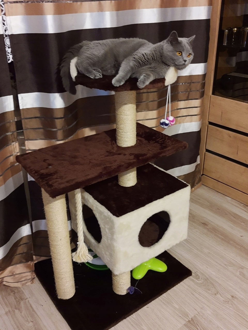 Dep-Mal Drapak dla kota 110 cm z budką dla dużych kotów Maine Coon, nr 017B – beżowy