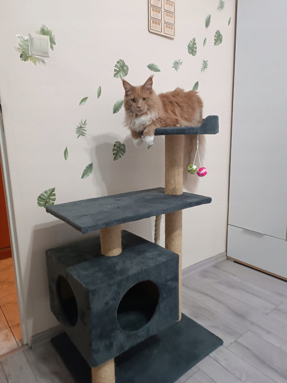 Dep-Mal Drapak dla kota 110 cm z budką dla dużych kotów Maine Coon, nr 017B – beżowy