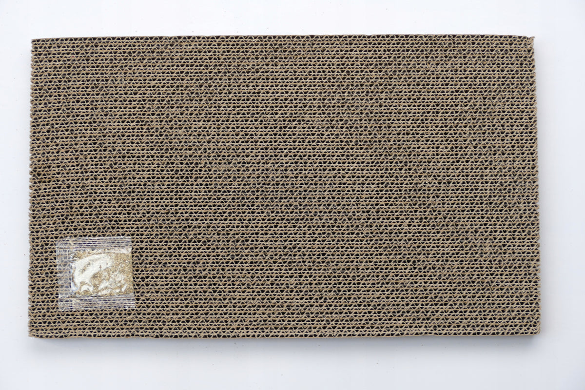 Drapak tekturowy dla kota – mata do drapania 41 x 23,5 cm, dwustronna, 5 szt. – beżowy