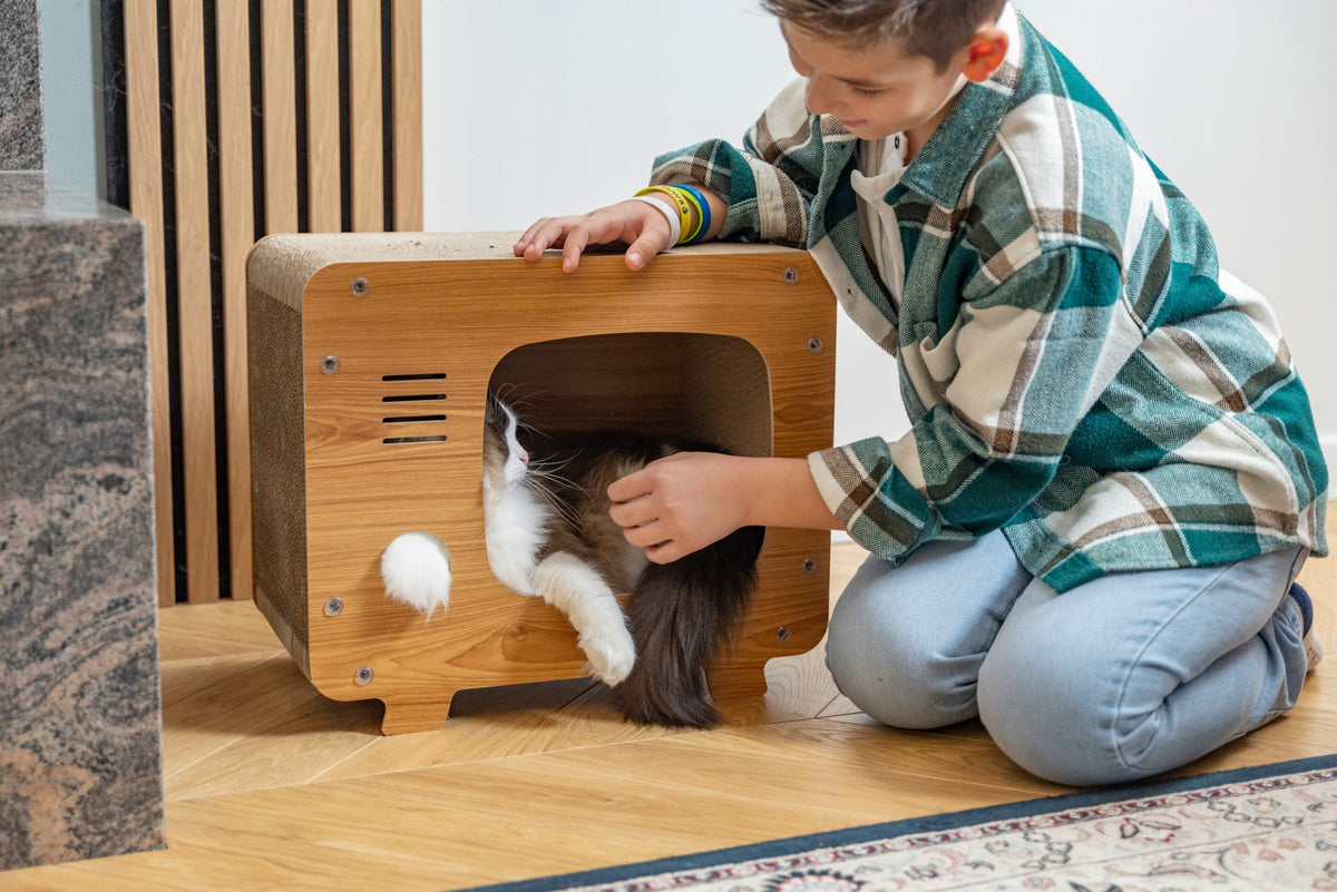 Petsona Drapak dla kota z kartonu domek telewizor DK-014 z legowiskiem – beżowy