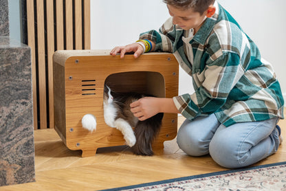 Petsona Drapak dla kota z kartonu domek telewizor DK-014 z legowiskiem – beżowy