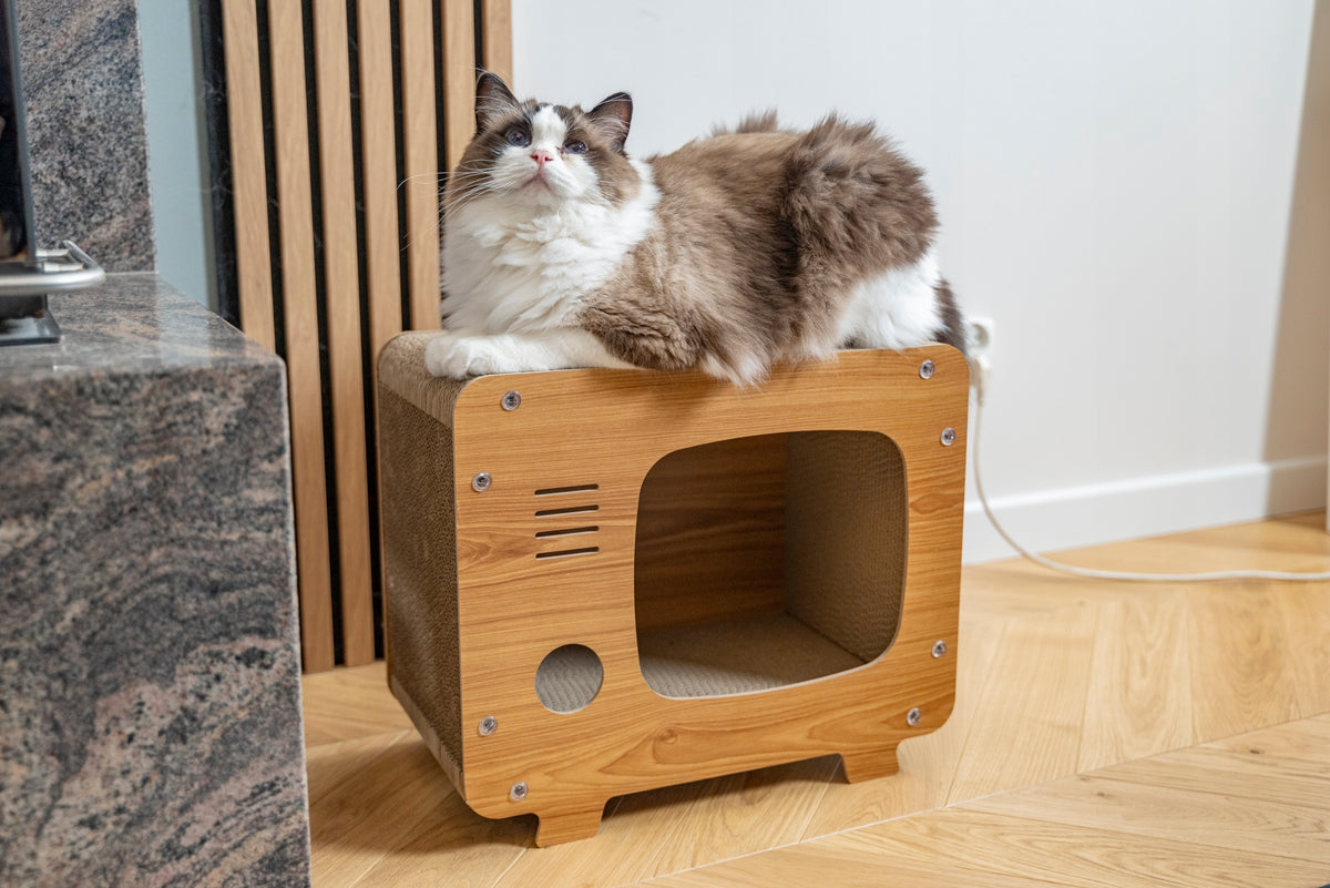 Petsona Drapak dla kota z kartonu domek telewizor DK-014 z legowiskiem – beżowy