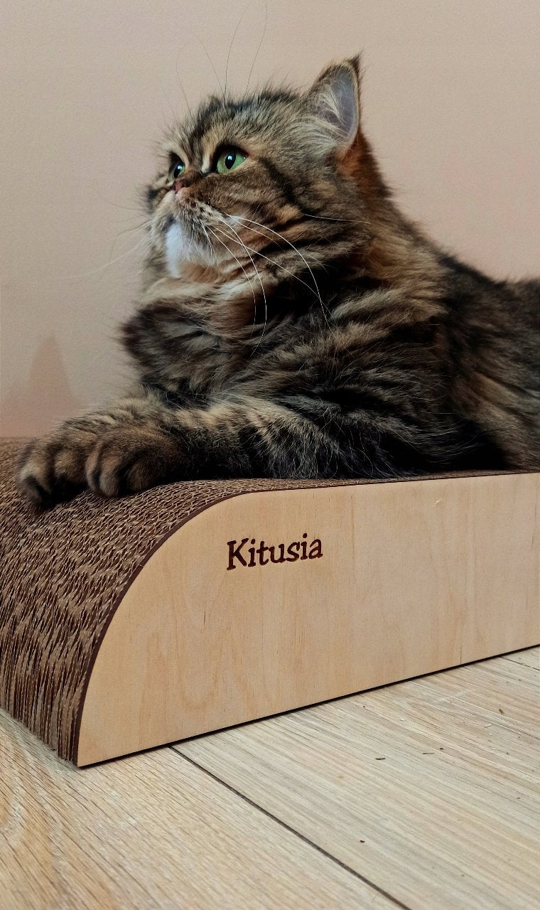 Gattino Molly drapak dla kota z tektury falistej 60 x 27 x 14 cm, fala i legowisko – brązowy
