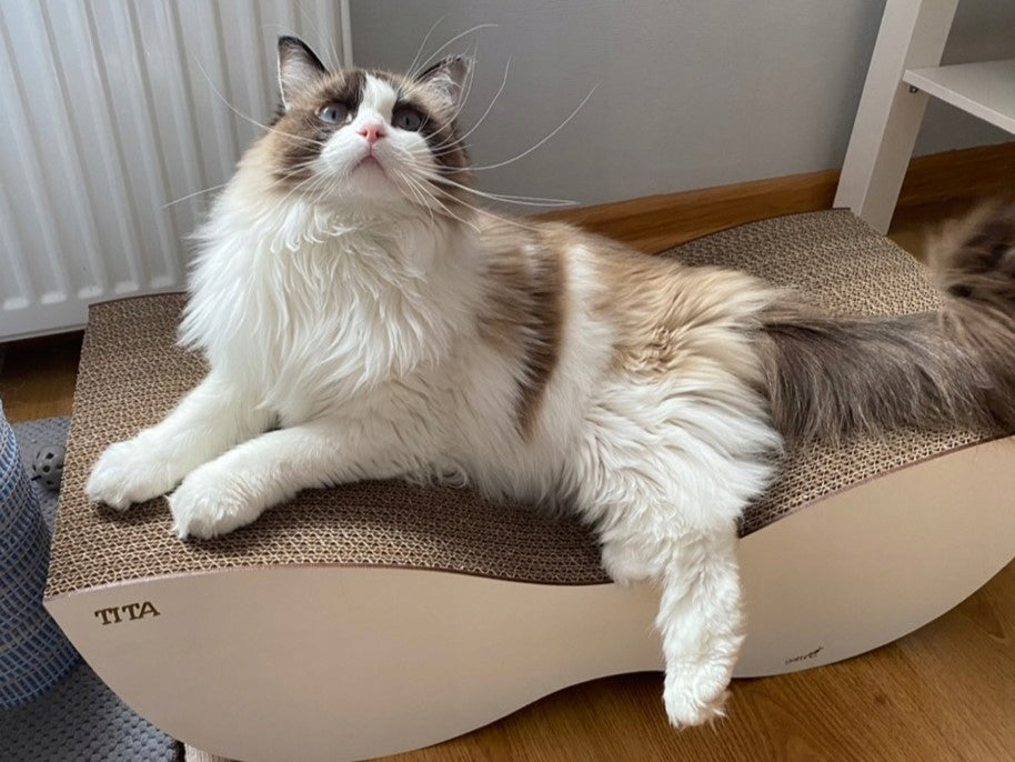 Gattino Molly drapak dla kota z tektury falistej 60 x 27 x 14 cm, fala i legowisko – brązowy