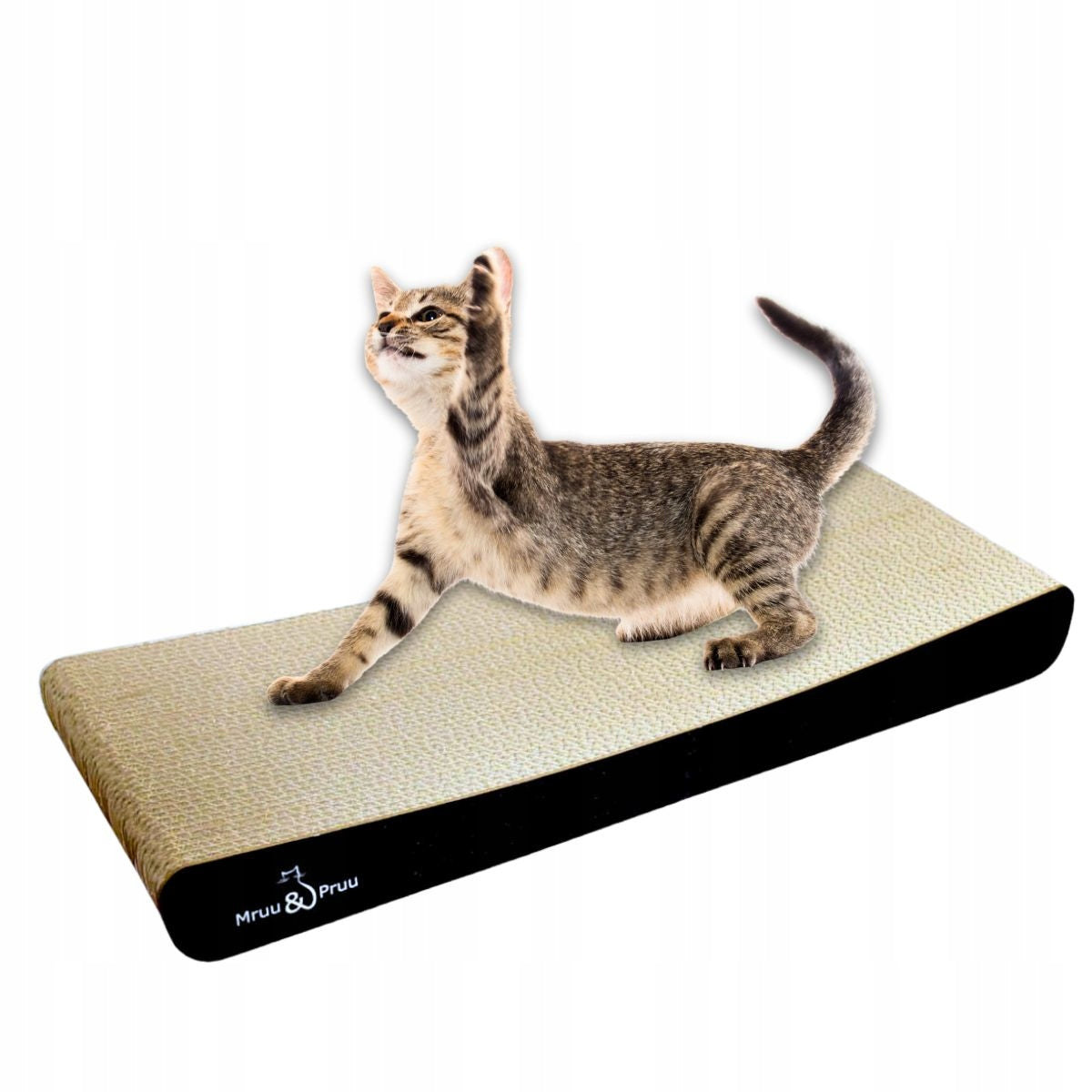 SIGMA Drapak kartonowy dla kota z legowiskiem 58 x 24 cm, dwustronny, tektura falista – czarny