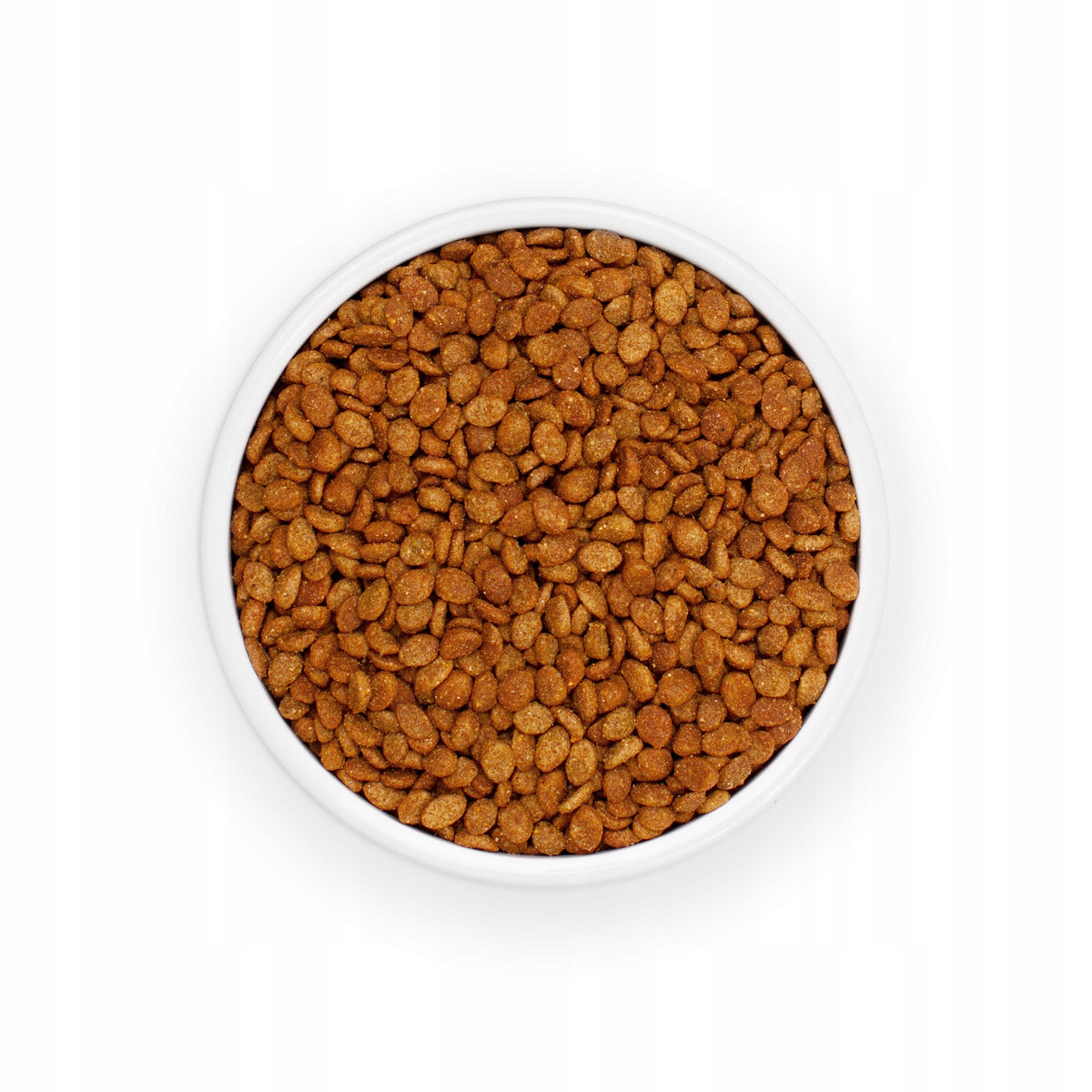 Eminent Cat Adult Salmon sucha karma dla kota dorosłego 2 kg, bezglutenowa – łosoś