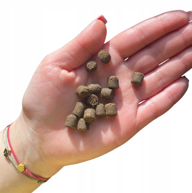FARMA Karma sucha dla szczeniąt z jagnięciną 10 kg (5 x 2 kg) – bezzbożowa, tłoczona na zimno