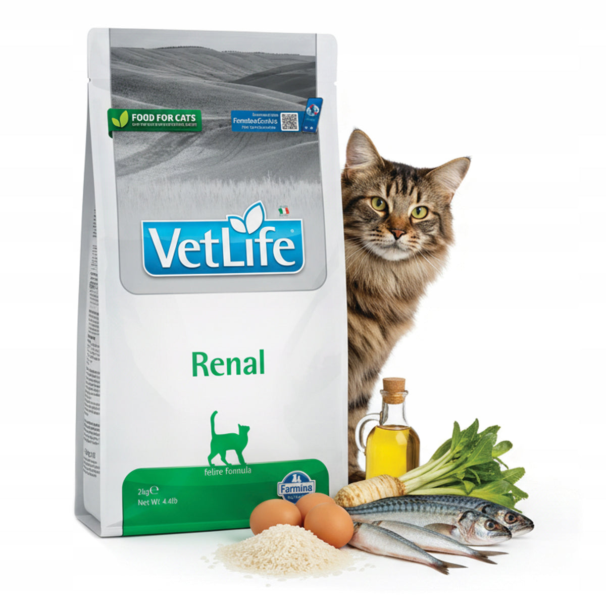 Farmina Vet Life Renal sucha karma dla kota na nerki 2 kg – dieta weterynaryjna, kurczak