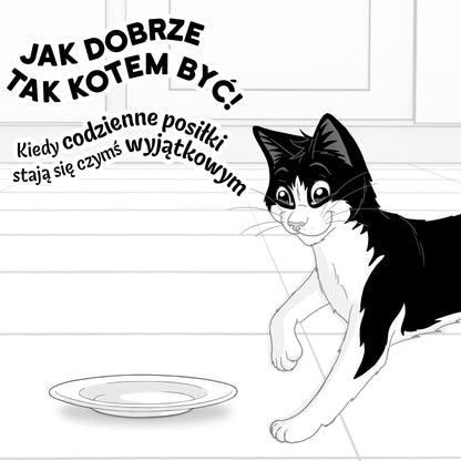 Felix Fantastic mokra karma dla kota w galaretce 44 x 85 g – mix mięsnych smaków