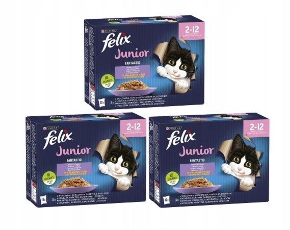 Felix Junior karma mokra dla kociąt 12 x 85 g – kawałeczki w galarecie, mix smaków