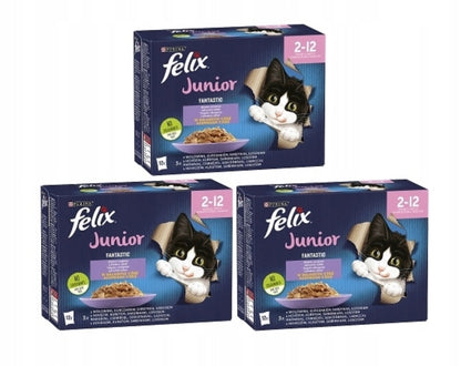 Felix Junior karma mokra dla kociąt 12 x 85 g – kawałeczki w galarecie, mix smaków
