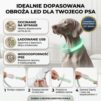Obroża miękka silikonowa regulowana świecąca z USB 9 trybów migania dla psa