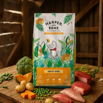 HARPER & BONE sucha karma dla psa bezzbożowa 18 kg z indykiem – dla dorosłych psów