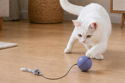 PlayFur Interaktywna piłka dla kota z myszką na lince – samojezdna, 8 cm, na baterię AA