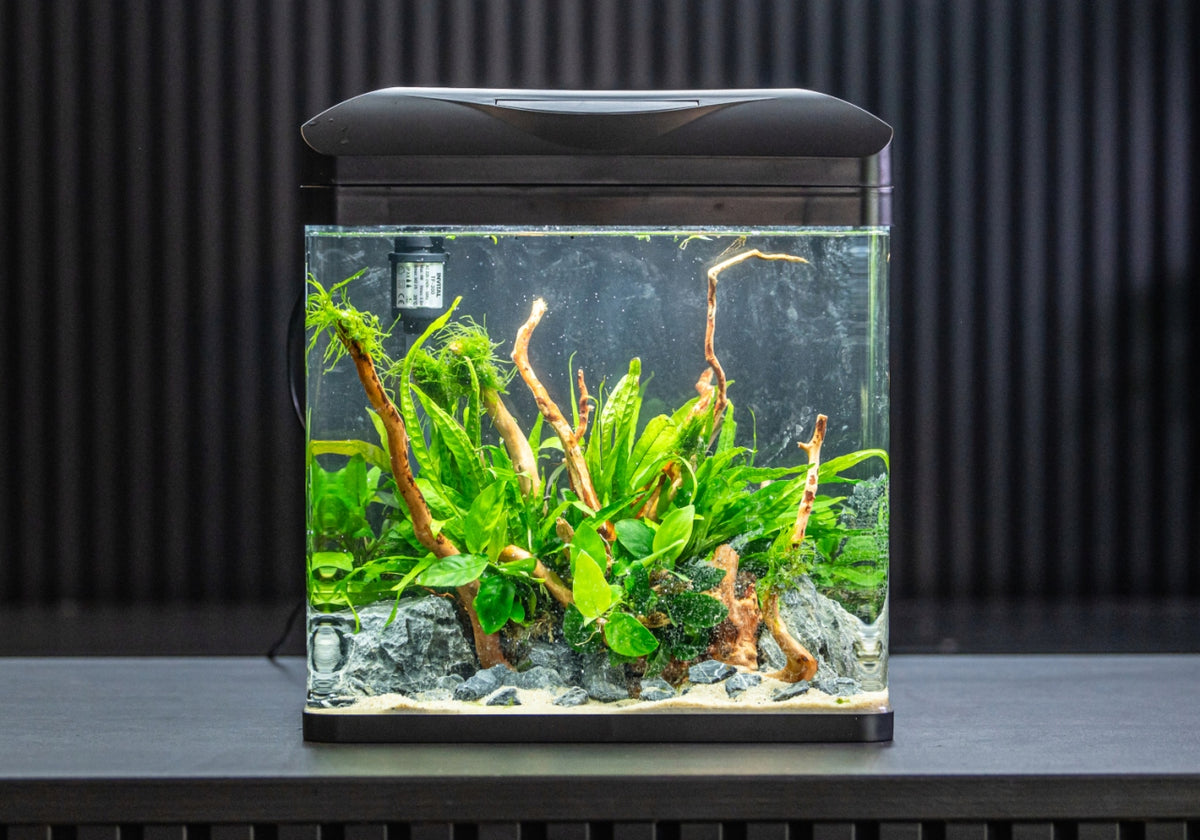 Invital EasyTank PRO zestaw akwariowy 49 l z filtrem i oświetleniem LED – białe