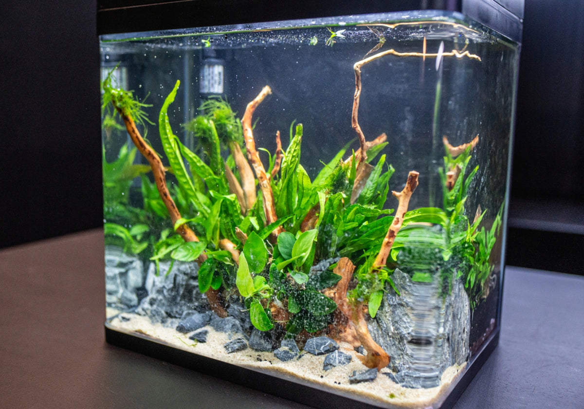 Invital EasyTank PRO zestaw akwariowy 49 l z filtrem i oświetleniem LED – białe