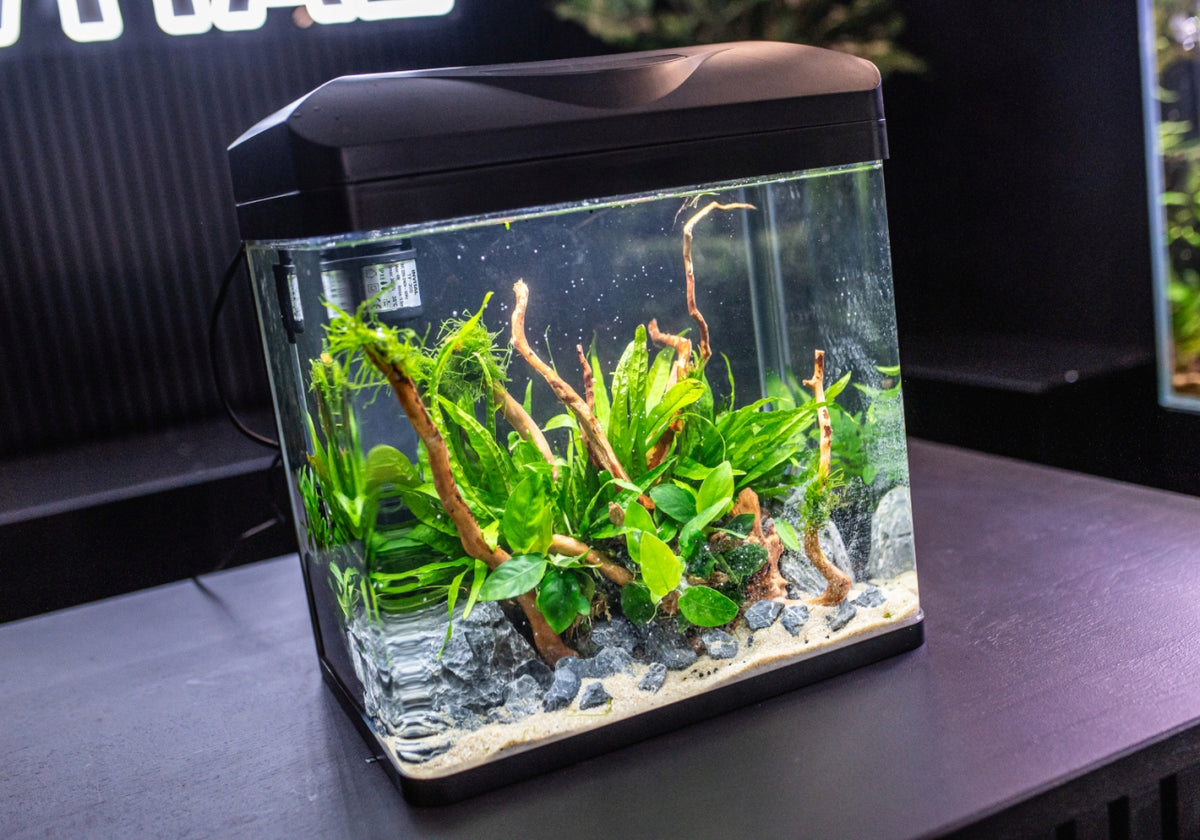 Invital EasyTank PRO zestaw akwariowy 49 l z filtrem i oświetleniem LED – białe