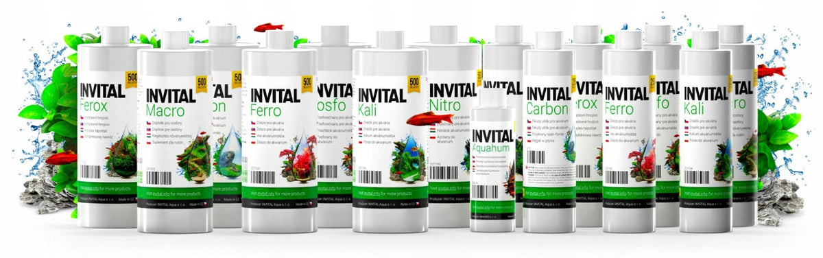 Invital Ferox nawóz do akwarium w płynie 500 ml – żelazo chelatowane DTPA dla roślin