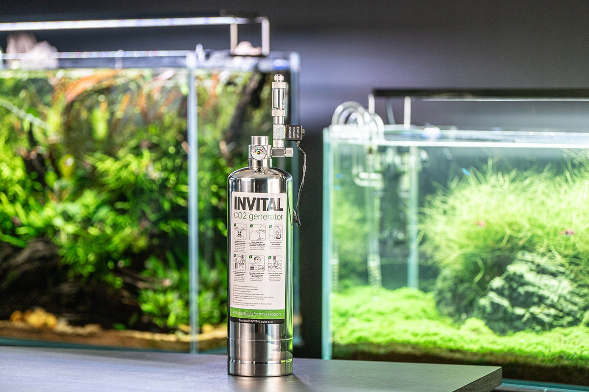 Invital Generator CO2 do akwarium z butlą 2 l – zawór elektromagnetyczny, wyłączanie nocne