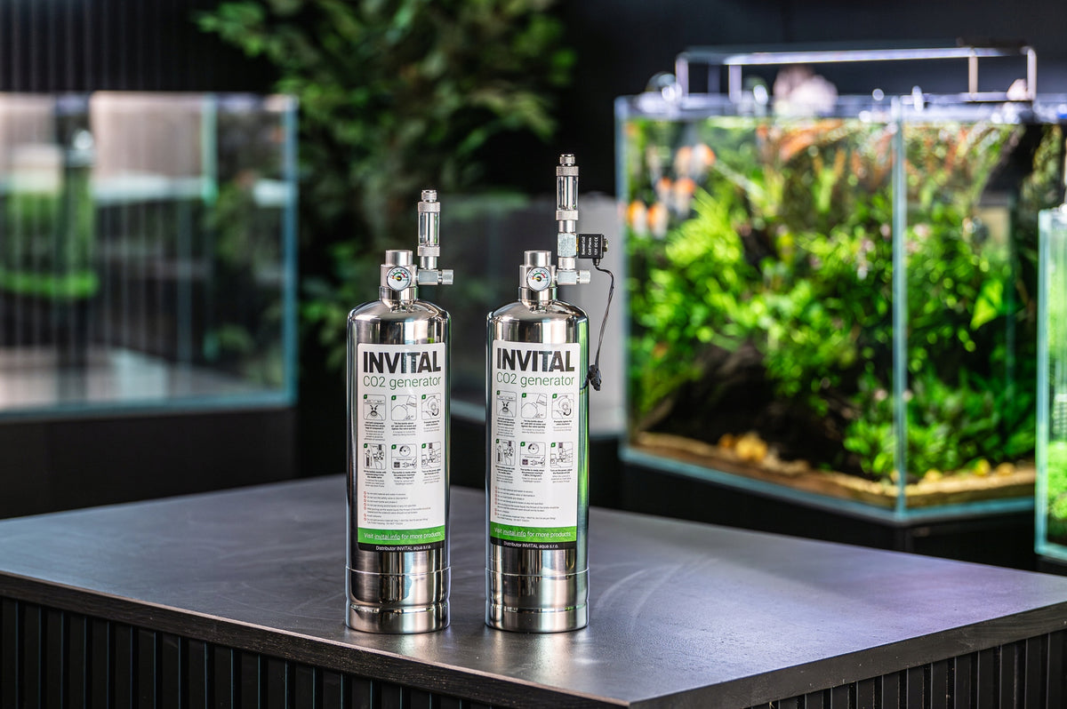 Invital Generator CO2 do akwarium z butlą 2 l – zawór elektromagnetyczny, wyłączanie nocne