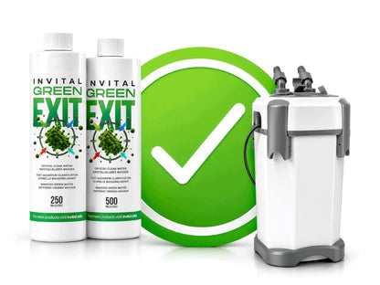 Invital GreenExit preparat na zieloną wodę w akwarium 500 ml – przeciw zmętnieniu