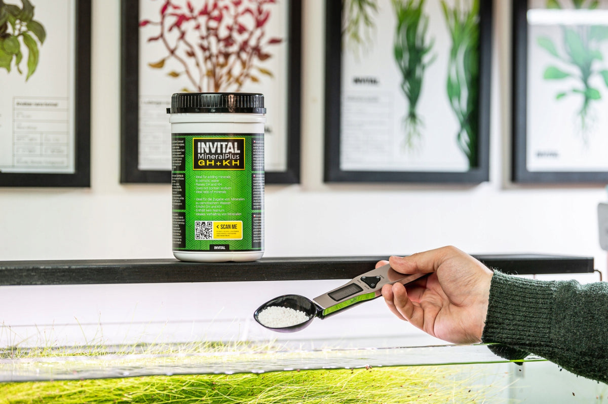 Invital MineralPlus GH+KH 250 g – sól mineralna do wody RO, podnosi twardość GH i KH
