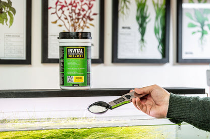 Invital MineralPlus GH+KH 250 g – sól mineralna do wody RO, podnosi twardość GH i KH