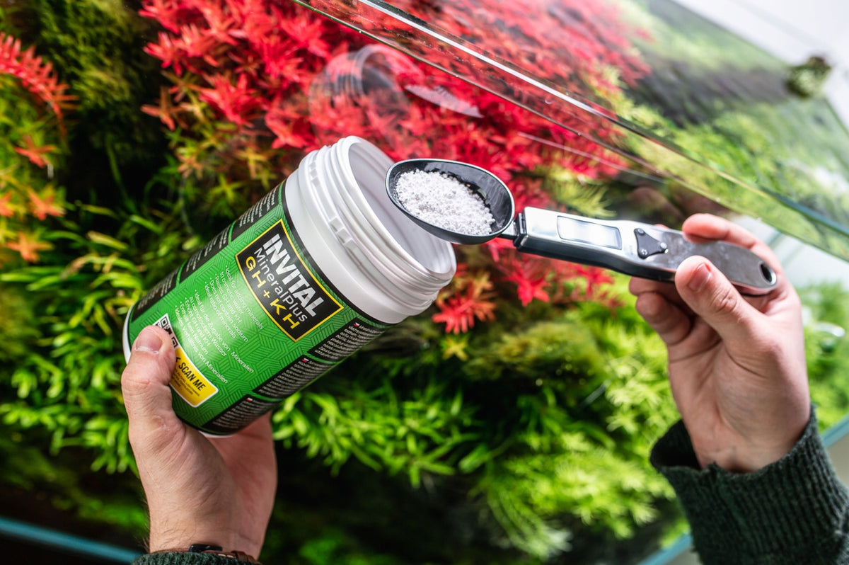 Invital MineralPlus GH+KH 250 g – sól mineralna do wody RO, podnosi twardość GH i KH