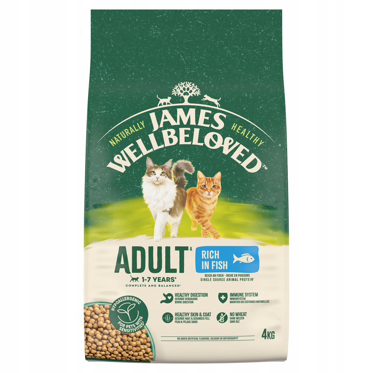 James Wellbeloved Adult sucha karma dla kota z rybą 4 kg – monobiałkowa, hipoalergiczna