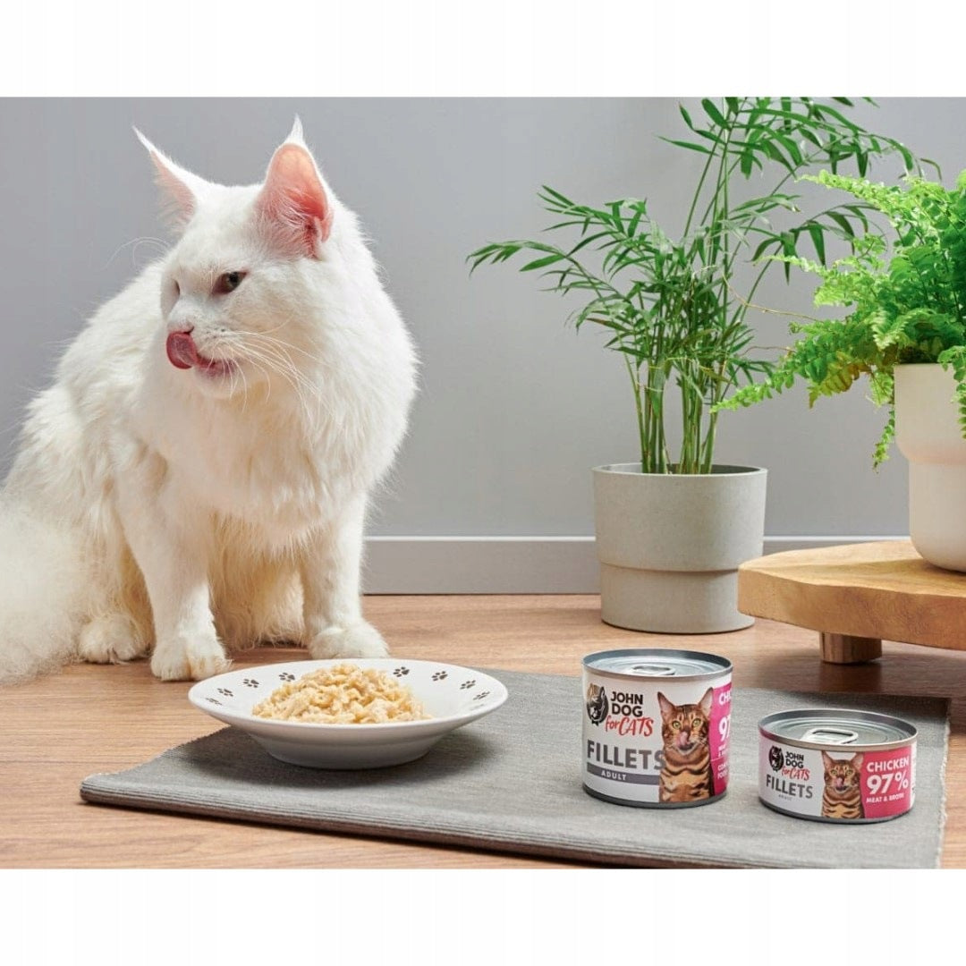 John Dog for Cats mokra karma dla kota filety z kurczaka bezzbożowa 12x70 g – kurczak
