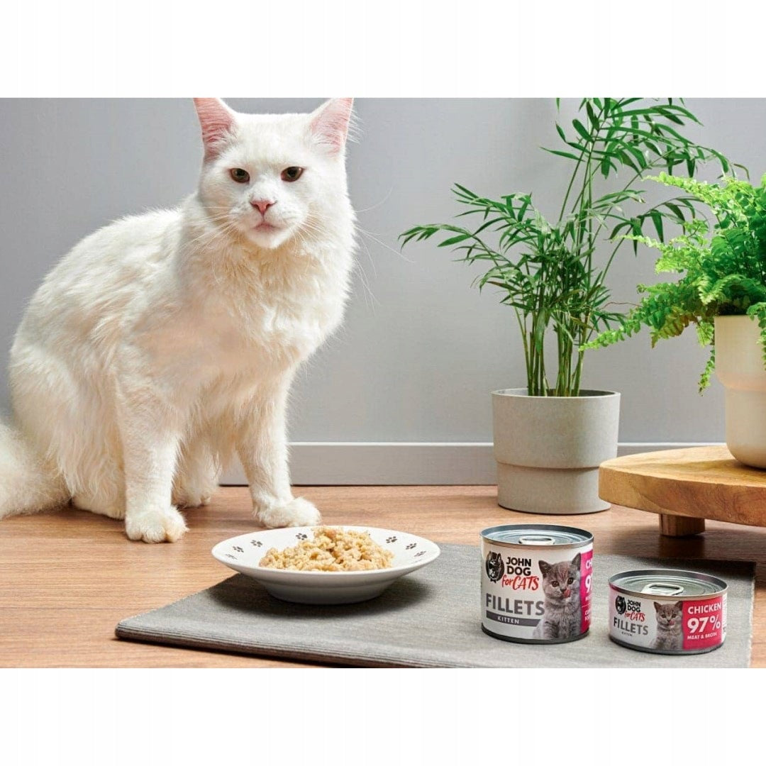 John Dog for Cats mokra karma dla kociąt filety z kurczaka 12x70 g – bezzbożowa, puszka