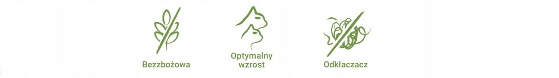 Josera Kitten Grainfree karma sucha dla kociąt bez zbóż 10 kg – kurczak, dla kotek w ciąży
