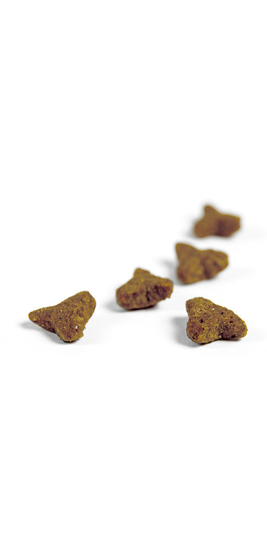 Josera NatureCat sucha karma bezzbożowa dla kota 10 kg – z drobiem i łososiem, adult