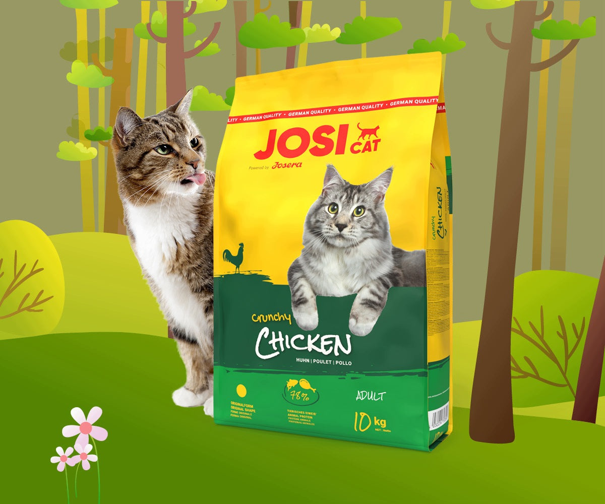 Josera JosiCat Crunchy Chicken karma sucha dla kotów dorosłych 18 kg – kurczak