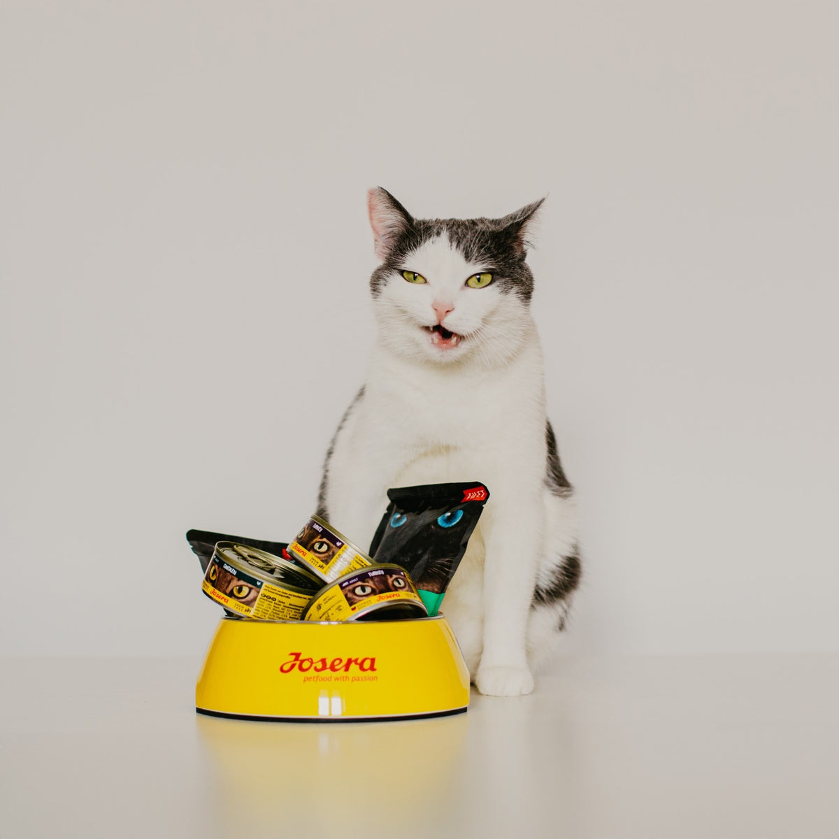 Josera JosiCat Crunchy Chicken karma sucha dla kotów dorosłych 18 kg – kurczak