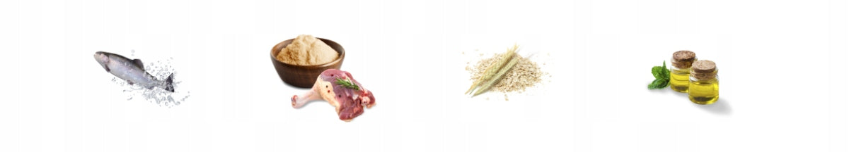 Josera JosiCat Crispy Duck sucha karma dla kota 18 kg – z kaczką, dla wybrednych kotów