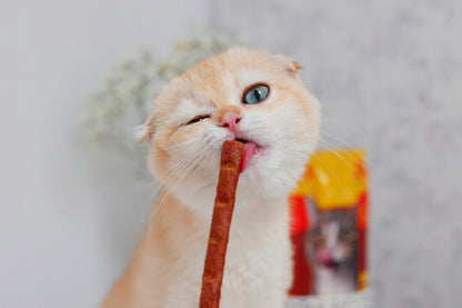 Josera JosiCat Crispy Duck sucha karma dla kota 18 kg – z kaczką, dla wybrednych kotów