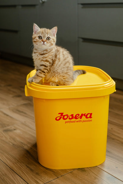 Josera JosiCat mokra karma dla kota 12x415 g z witaminą D3 – wołowina w sosie