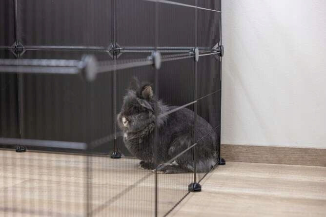 KERBL Panele do kojca dla królika 35 × 35 cm – zestaw 6 szt. z łącznikami, czarne