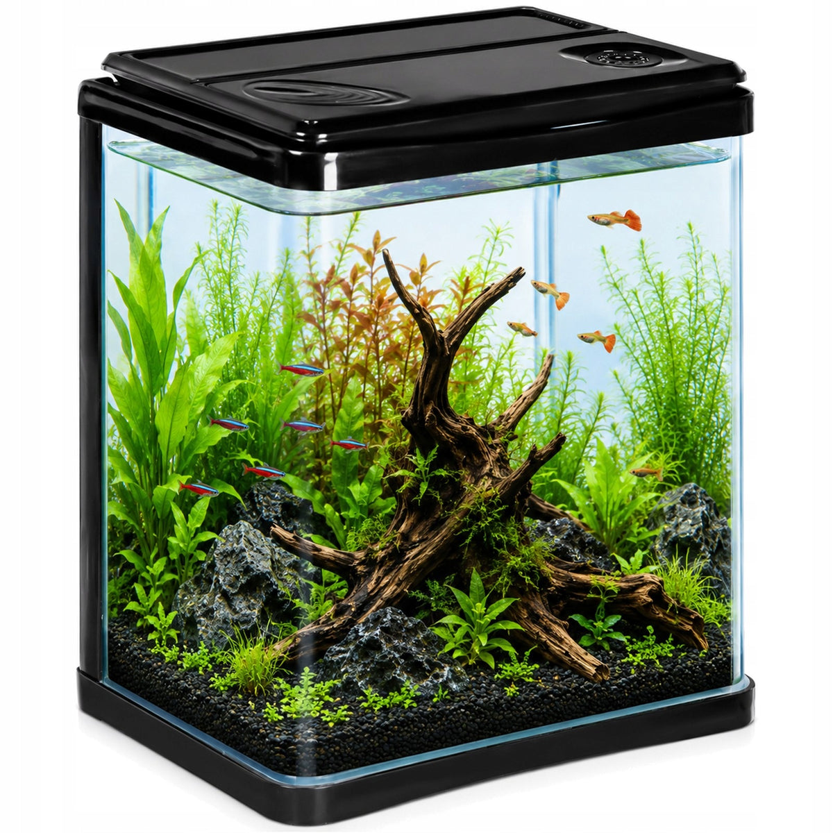 Kruger Meier Arona mini akwarium 3 l z filtrem i oświetleniem LED – zestaw startowy, czarne