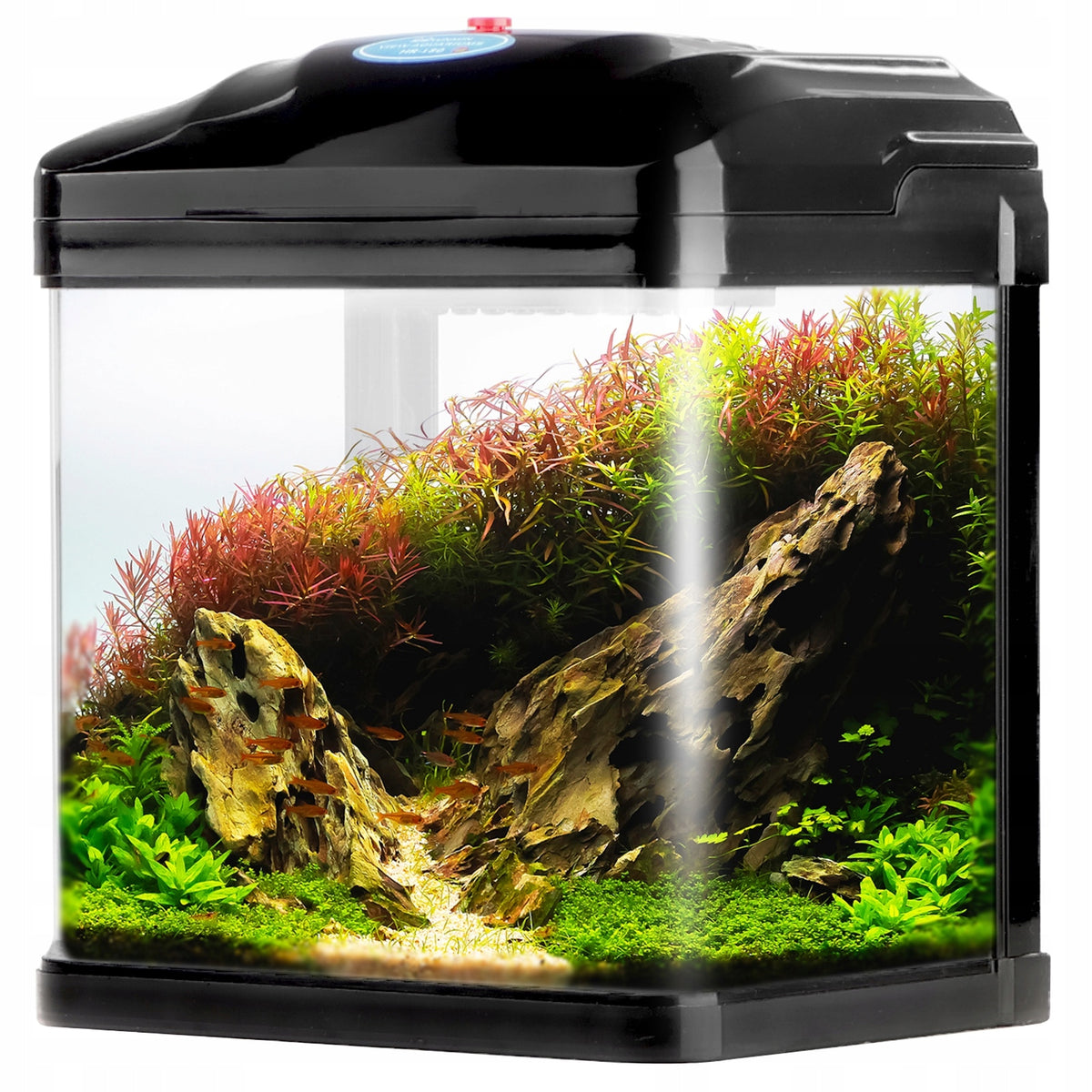 SunSun Pika-Pika AquaKids akwarium 3 l dla dziecka z filtrem i oświetleniem LED – czarne