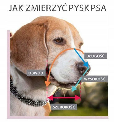 Dino Kaganiec metalowy fizjologiczny dla owczarka niemieckiego – powlekany, na sprzączkę