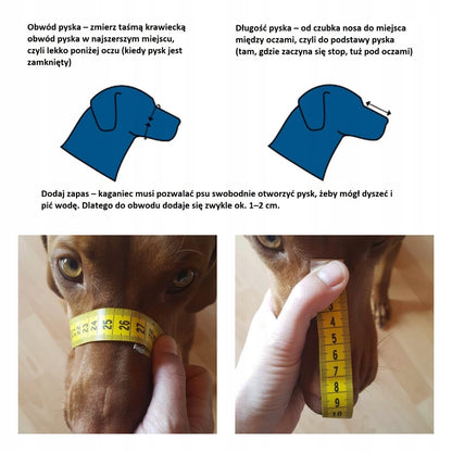 Champion Kaganiec skórzany dla psa rottweiler R3 40/9,5 cm – skóra bydlęca, rozmiar XL