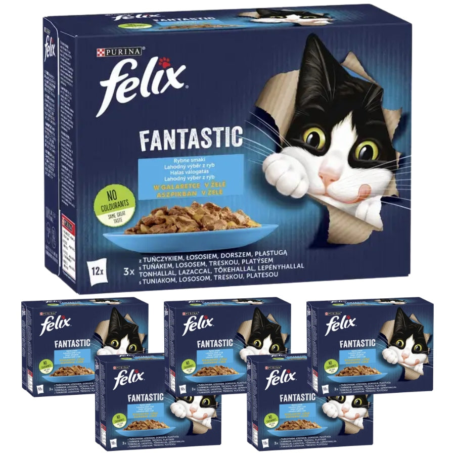 Felix Fantastic mokra karma dla kota w galaretce 72 x 85 g – rybne smaki, mix