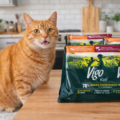 Vigo Karma mokra dla kota w saszetkach 36x85 g, bezzbożowa, w sosie – mix smaków